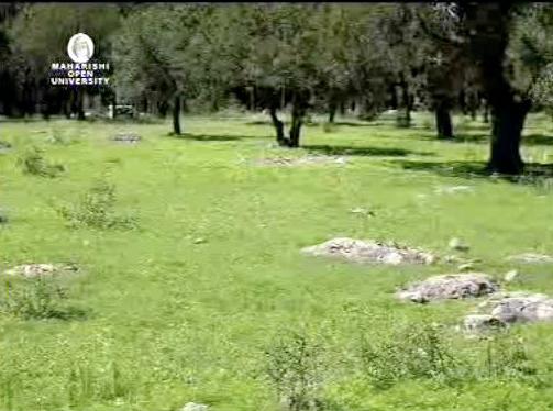 ChihuahuaPP6.jpg - A green view of some of the 2,400 hectares on the resort.