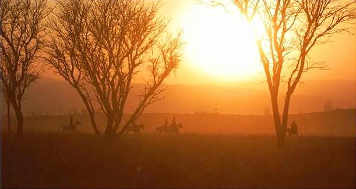 31.jpg - 18 November 2008This beautiful scene shows riders at dawn at the Reserve. Twenty horses are available for visitors to ride in among the animals at the 4500-hectare nature park near Pretoria.