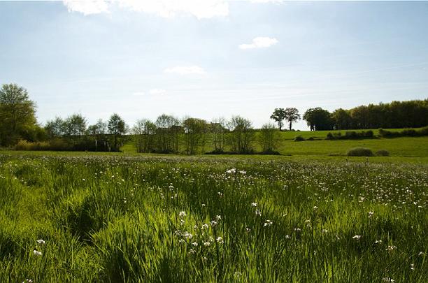 FM26.jpg - 7 May 2009Spring view near the  same landscape as winter view in the centre of France.
