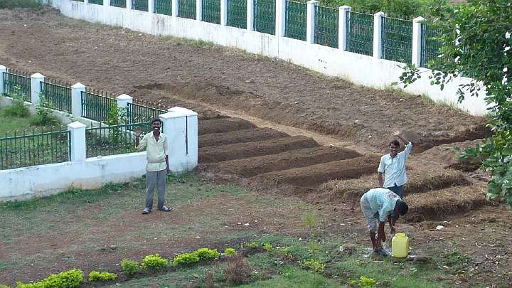 027.jpg - Grass from the former lawn was used for mulching the beds (on lower right) and the large pile of stones and bricks filtered out of the soil was used for mulch in the irrigation channels.