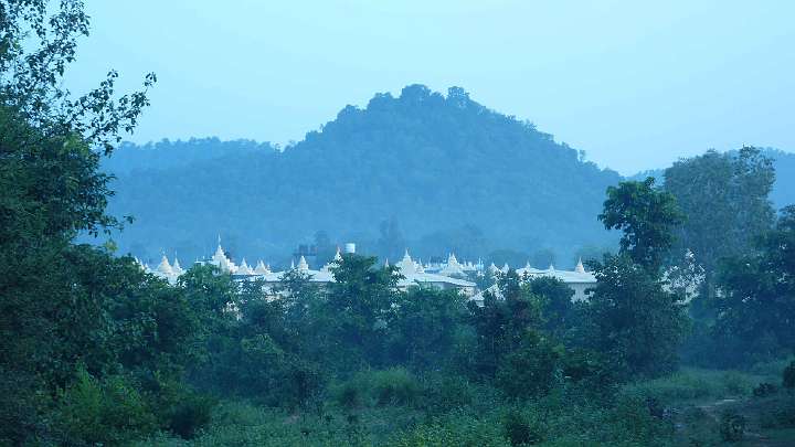 081.jpg - Early morning view of the Vastu homes of the Maharishi Vedic Pandits and the hill upon which Dr Swan was standing.