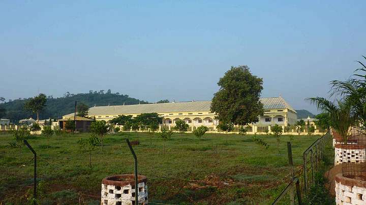 082.jpg - Young orchard by the central hall in the Brahmasthan of India.