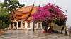 GFC-Thailand-(03)