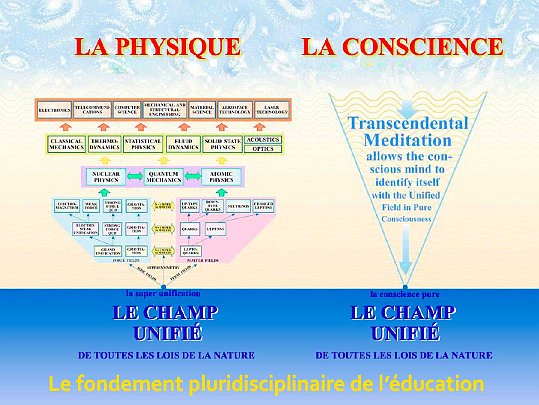 04-French-UF-f.jpg - Using the Unified Field Chart, which is now available in French, Dr Deans brought out the knowledge of the Unified Field of Natural Law in Maharishi Mahesh Yogi's Vedic Science and technologies of consciousness, including the direct experience of this infinite, universal field through the Transcendental Meditation Technique.