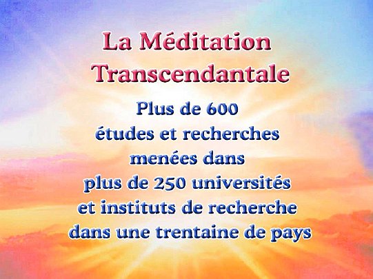 05-MT-recherche-f.jpg - The research summary of the Transcendental Meditation Programme inspired many questions from the audience in Togo.