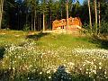 6SaltSpringhouseViewNE