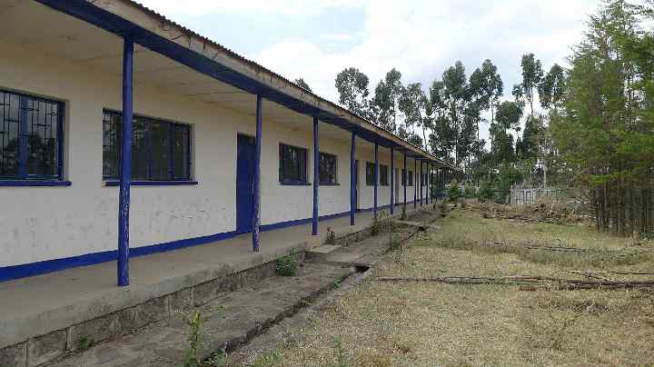 Ethiopia-094.jpg - In Ethiopia the Transcendental Meditation organization owns four hectares of beautiful land with an apiary, cows, fruit trees, and a school building large enough for 250 students.