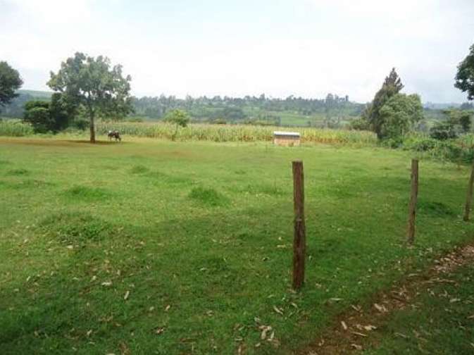 kenya1.jpg - Pastoral Nandi Hills, Kenya, was selected as a suitable site on which to develop a Maharishi Vastu community built according to the principles of Vastu architecture.