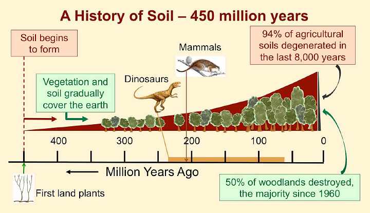 Slide06.jpg - About 450 million years ago plants from the ocean began to colonize the Earth. Then gradually soil and vegetation covered the Earth. Dinosaurs emerged and then mammals and the soil flourished. However, in the last 8,000 years 94% of Earth?s soil has been degraded, with 50% of all woodlands being destroyed since 1960.