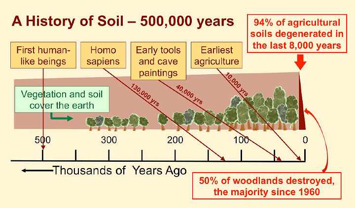 Slide07.jpg - Looking at the history of soil over the last 500,000 years we see the emergence of human-like beings, and then Homo sapiens 150,000 years ago, and modern agriculture about 10,000 years ago. Shortly after the advent of modern agriculture Earth?s soil began to degenerate.