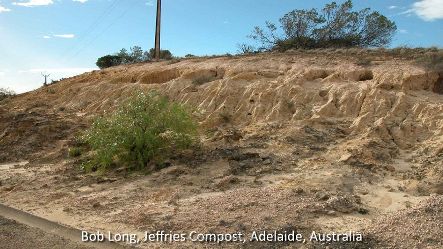 Slide17.jpg - The next three slides clearly show how compost can transform poor eroded soil into fertile nutrient-rich ground. This slide depicts a roadside in Australia that clearly appears abandoned and unmanaged.