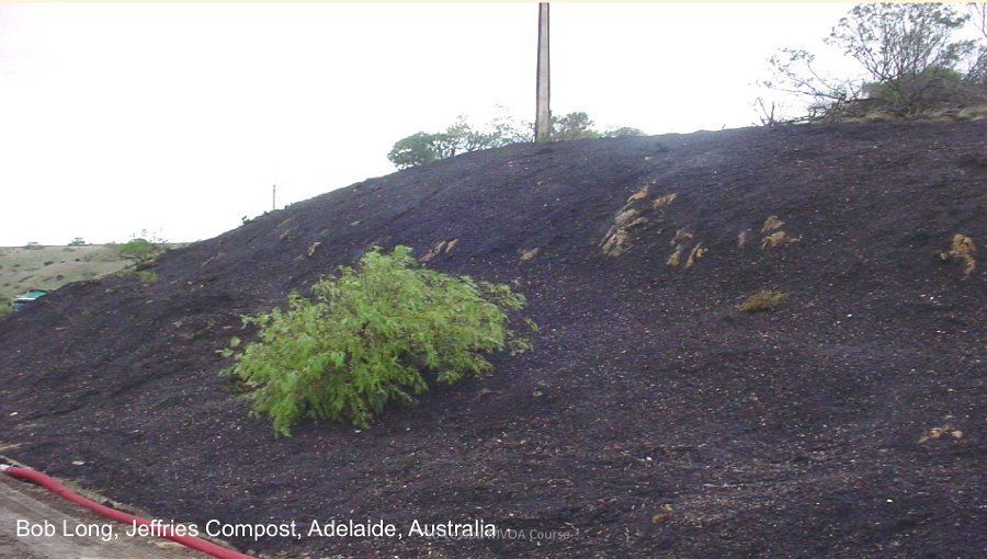 Slide18.jpg - This view shows how the same roadside, after it has been covered in compost containing an organic matter mixture that included grass seed.