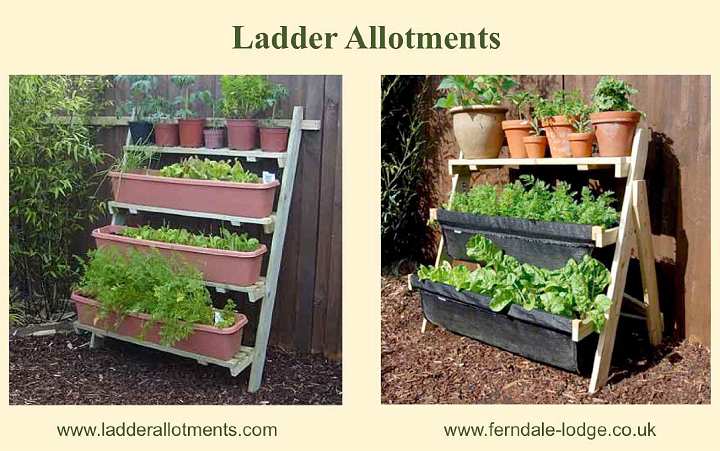 Slide28.jpg - A ladder-type set up in a sunny area allows one to grow a large number of plants in a small area. The plants that require the most sun are usually located at the top ?rung? of the ladder, and those requiring less light and sun go towards the bottom.Once again, the planter boxes are filled with a combination of compost and mulch.