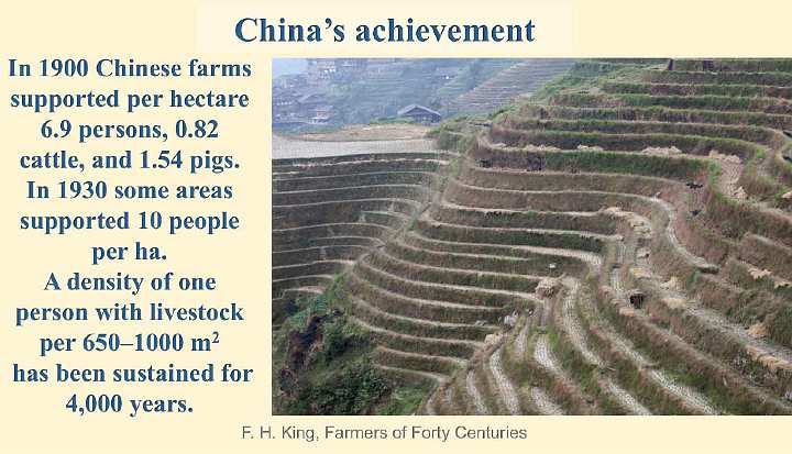 Slide30.jpg - The Chinese are masters of the no-dig method. This image shows step farming in China, a farming method that has not only sustained the soil, but for the 4,000 years it has been in use has continually improved soil fertility. The chart documents improved soil fertility since 1900.