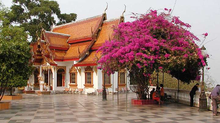 GFC-Thailand-(03).jpg - A Buddhist temple near Changmai, northern Thailand is a favoured place to visit. A monk in Japan, who became a Teacher of Transcendental Meditation, has taught the technique to over 2,500 Buddhist monks and their students in Thailand.