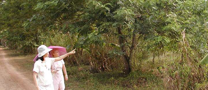 GFC-Thailand-(32).jpg - Mother of the Domain Varaporn and Mrs Chasse discuss use of the fields at the facilitly in Chanthaburi. Raja Vikram is bringing his great organizing abilities to help the Mother Divine group by finding the right managers to develop and farm the land the land in Chanthaburi.