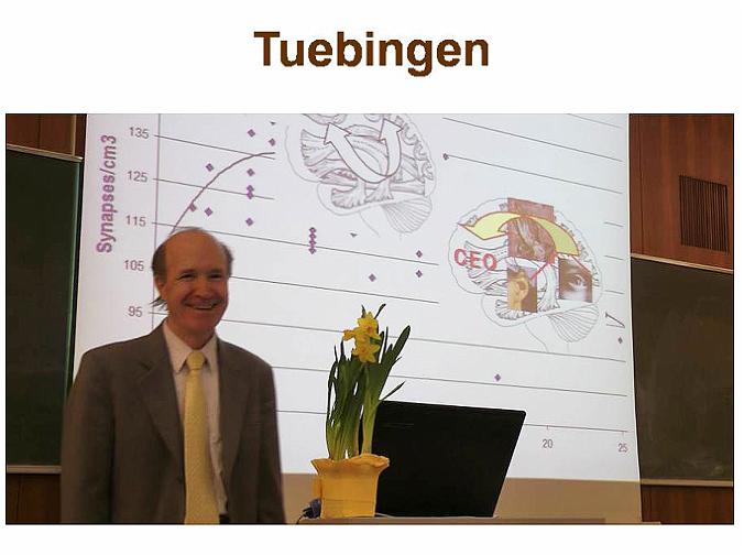 Slide9.jpg - At the Institute for Sports and Science of the University of Tuebingen Dr Travis gave a lecture to about 100 that included researchers, faculty and students. Here and throughout the tour Dr Travis discovered a new level of openness to Maharishi?s Vedic Science, and how understanding brain functioning can make something as abstract as meditation more meaningful.