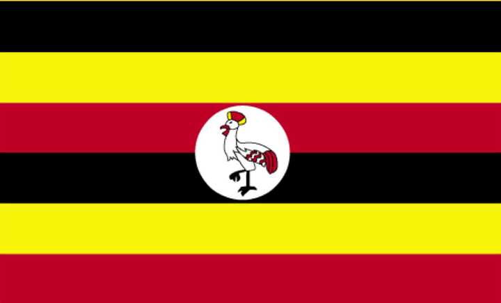 Uganda-GGn-(0).jpg - The flag of Uganda features its national bird, the crested crane.