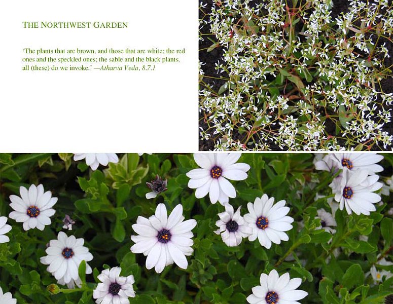 nw.jpg - Northwest garden: The Vedic Garden uses colour, form and water design technology, combining scientific and artistic principles to create an enchanting environment that is enlivening, nourishing, and satisfying.