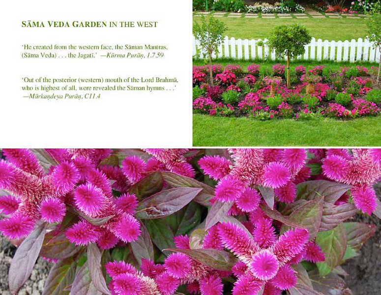 sama_veda.jpg - THe west garden: Vedic Organic Agriculture is concerned with that agency which transforms the soil and air and water into flowers, fruits and vegetables. Pure creative intelligence is the most essential focus, allowing creativity to fully blossom bringing a balanced and complete expression of that creativity.