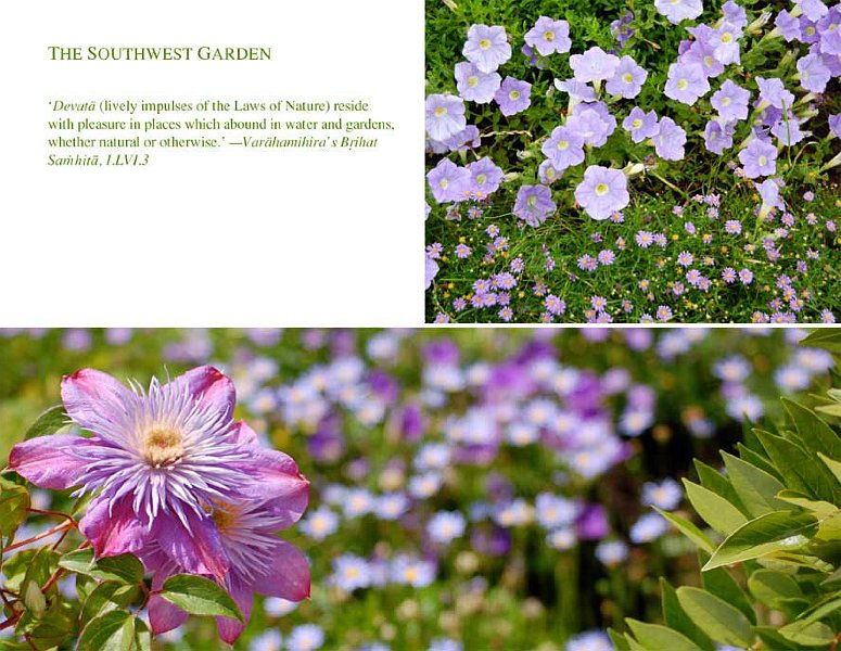 sw.jpg - The Southwest Garden: Working with the knowledge of the influence of planets and stars on plant life allows us to take maximum advantage of the nourishing power of Natural Law?to promote a healthier soil, a more productive seed, stronger plants, and healthier, more nourishing food.